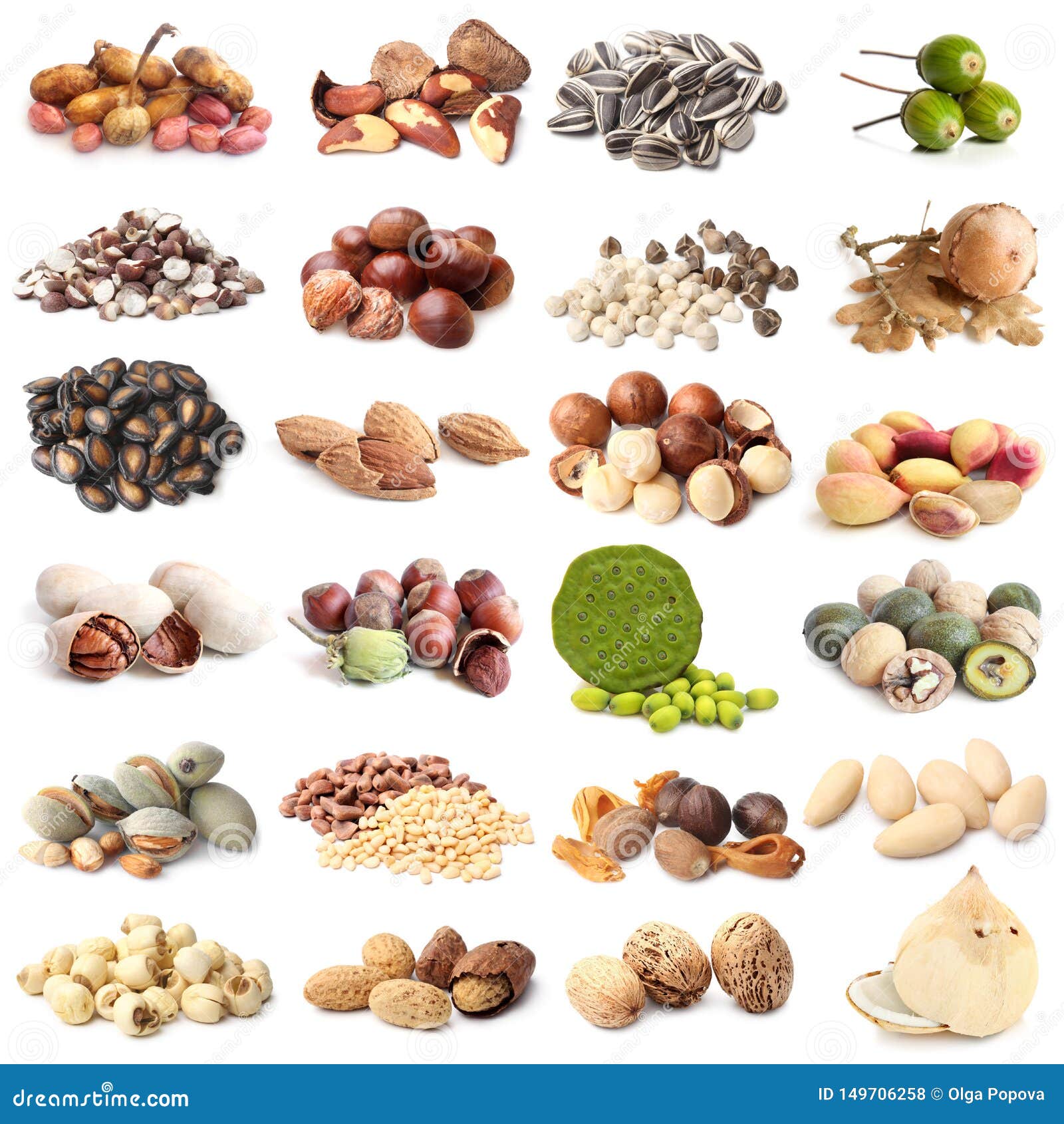 Polya nuts инстаграм. Коллекция орехов. Nuts and Seeds collection. Nuts White background. Alee_nut Instagram.