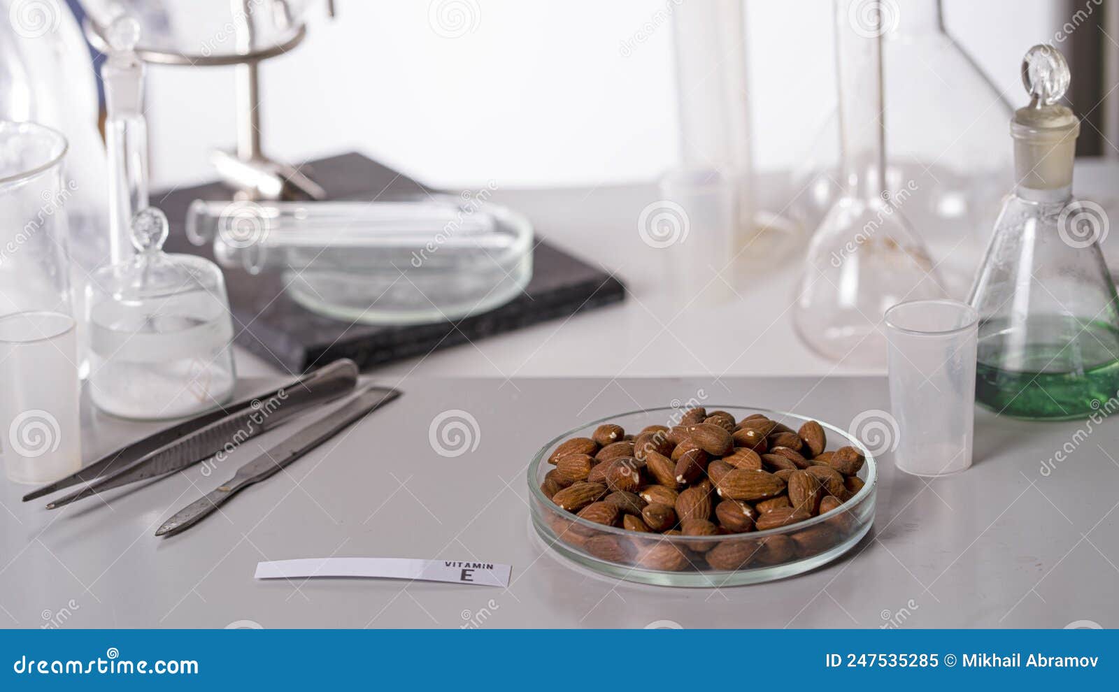 Nuts on the Laboratory Table with a Name Plate for Vitamin E. Essential