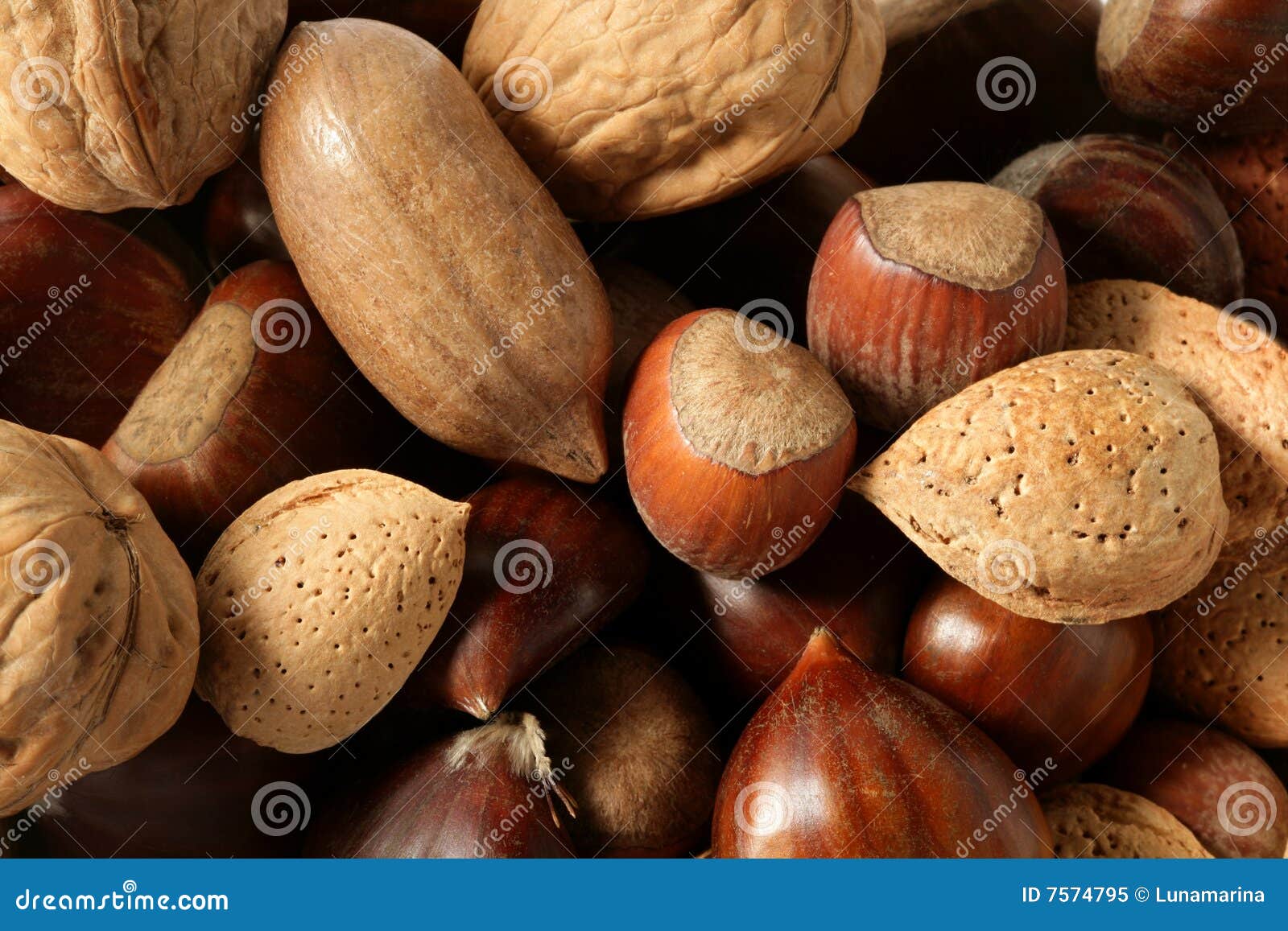 Nuts Mix, Walnuts, Pecan Hazelnut Almond, Chestnut Stock Image Image