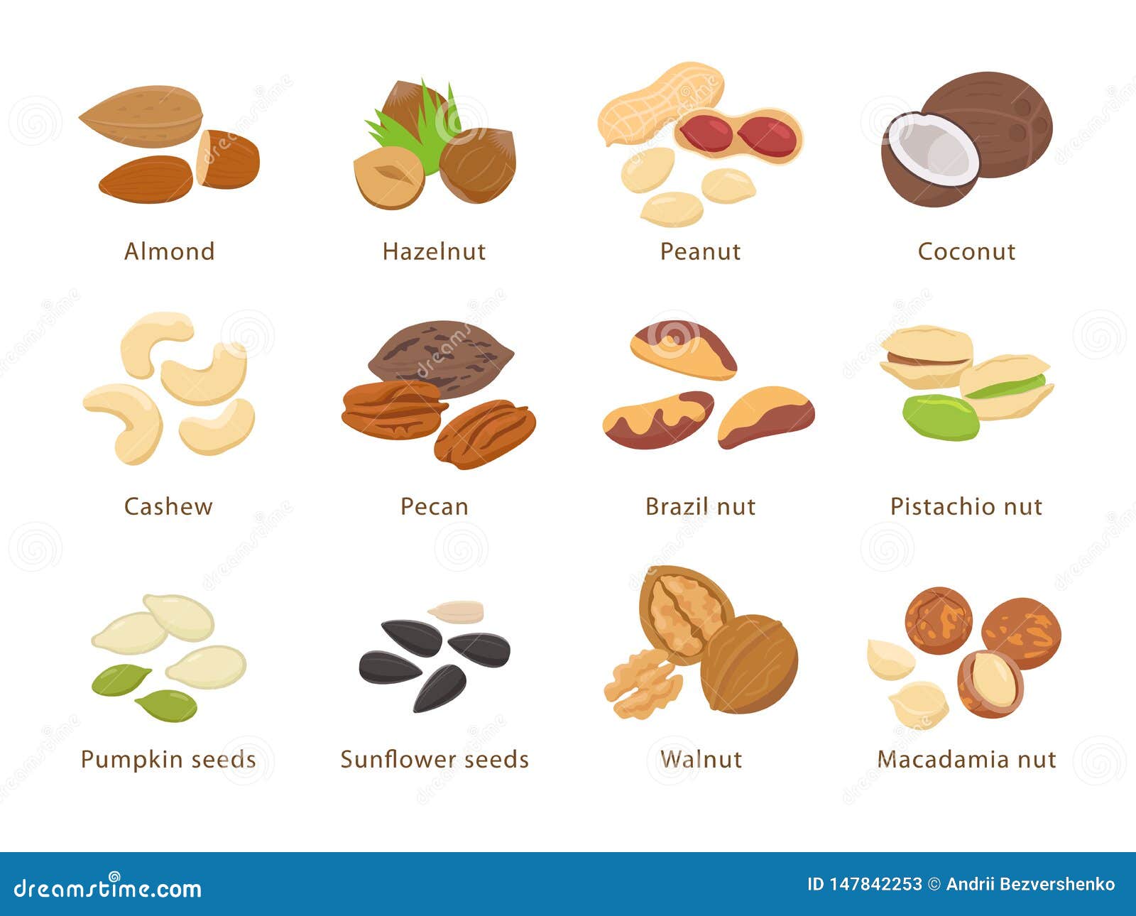 Nuts and Seeds in Flat Design Vector Set of Illustrations. Collection