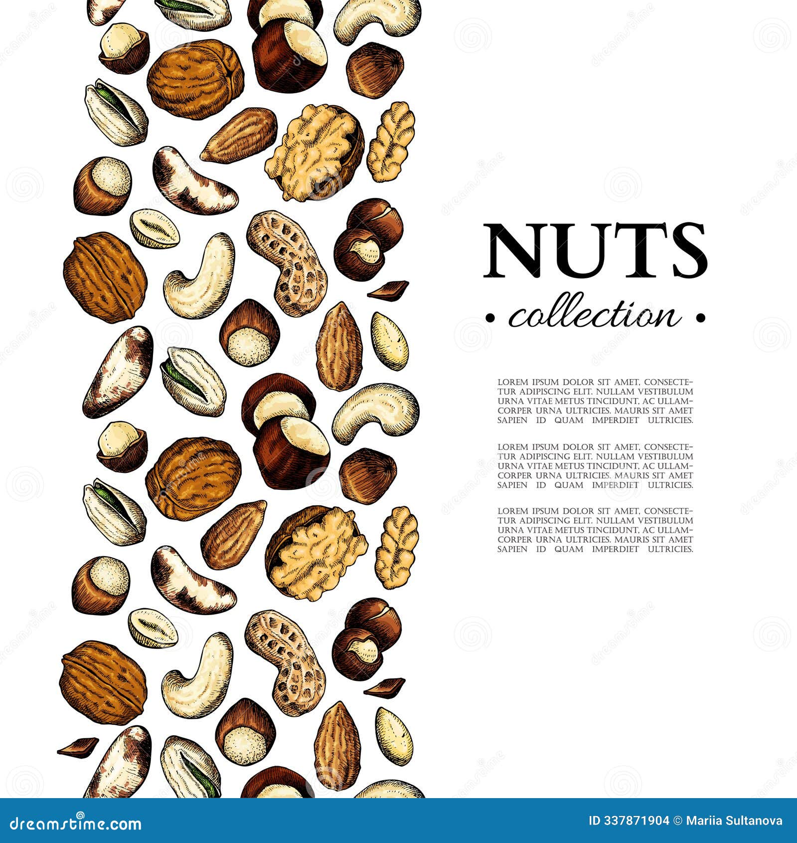 nuts and seeds frame template.  . seamless pattern border