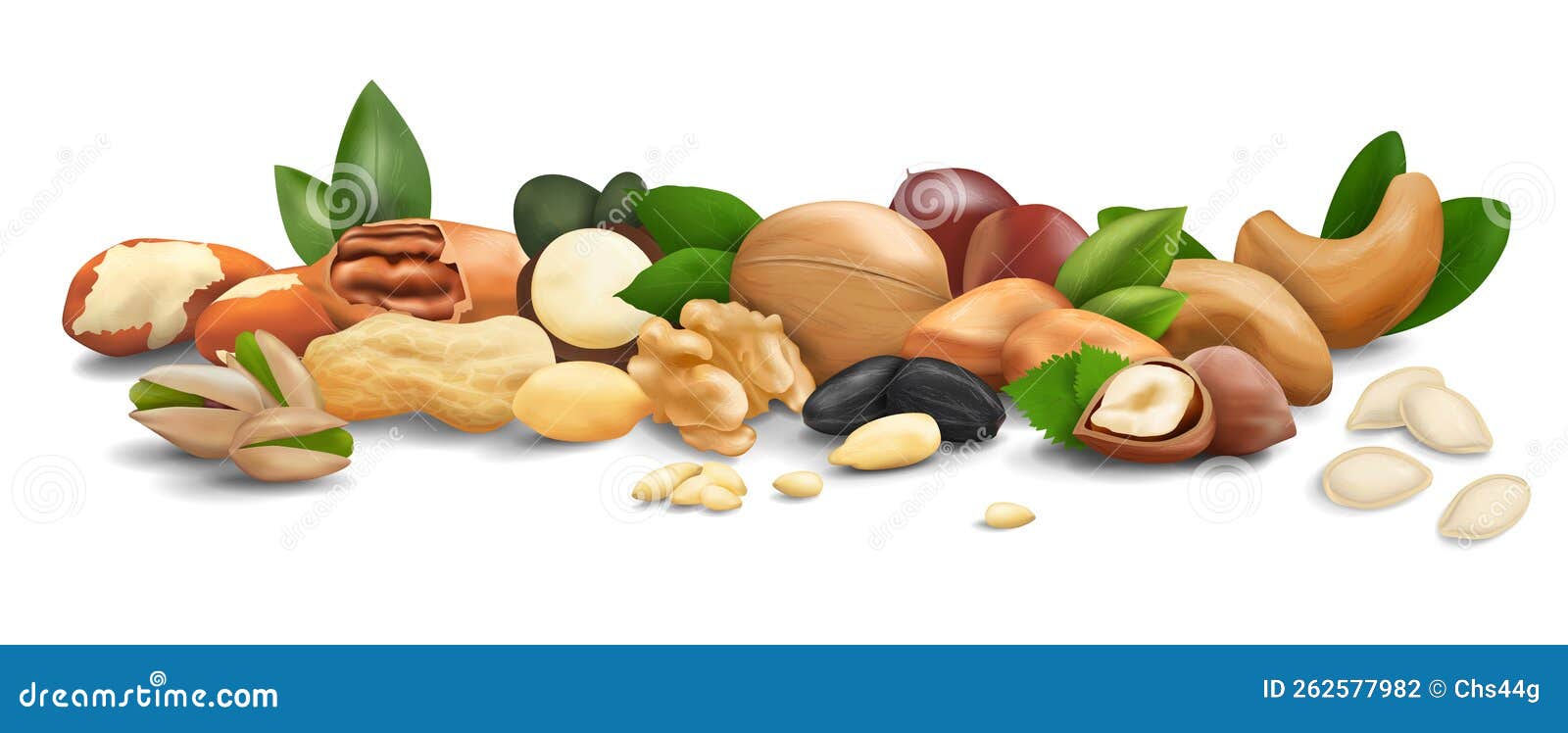 Nuts and Seeds are Laid Out Horizontally on the Surface Stock Vector