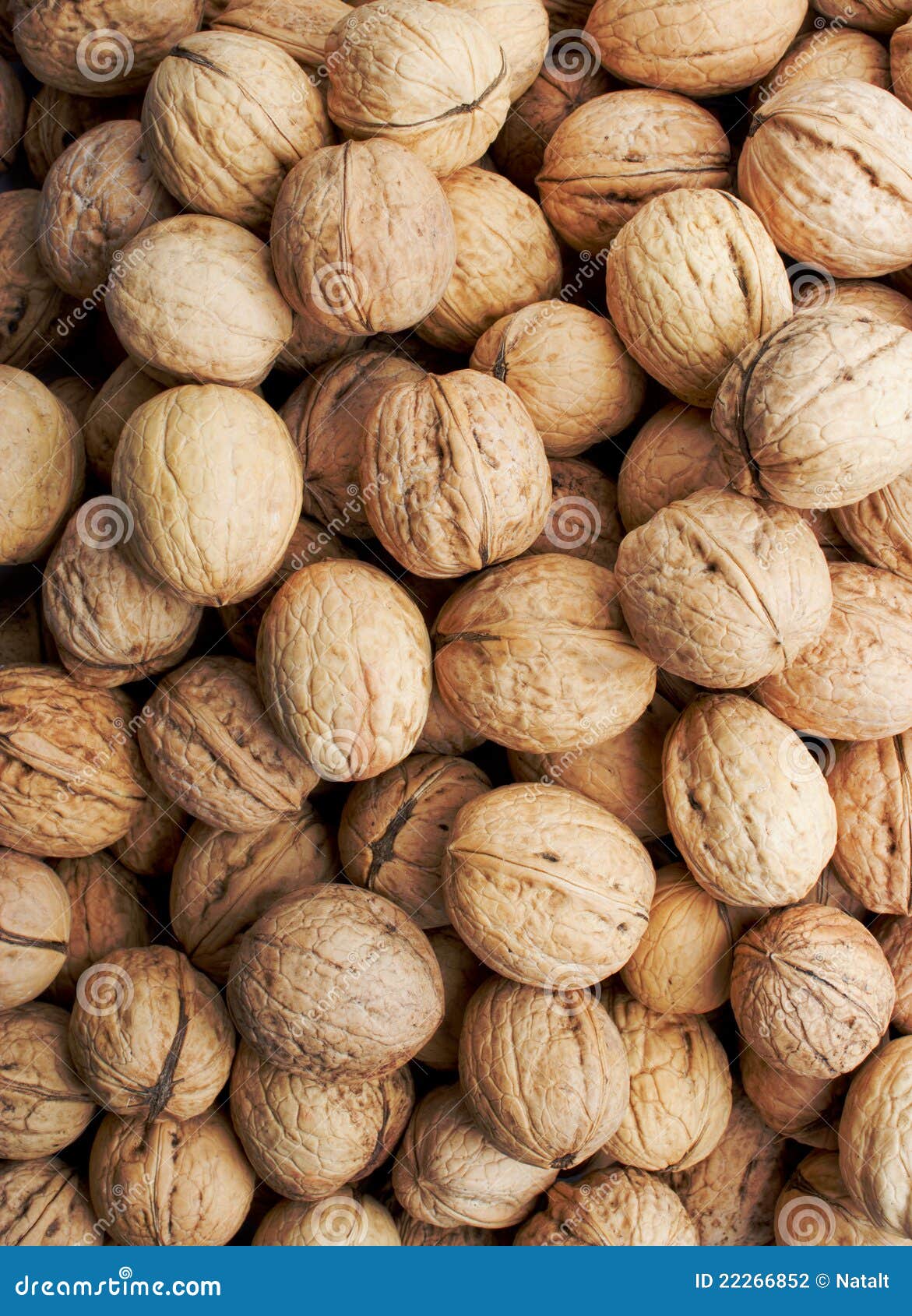 Nuts, walnut stock photo. Image of healthy, walnut, natural 22266852