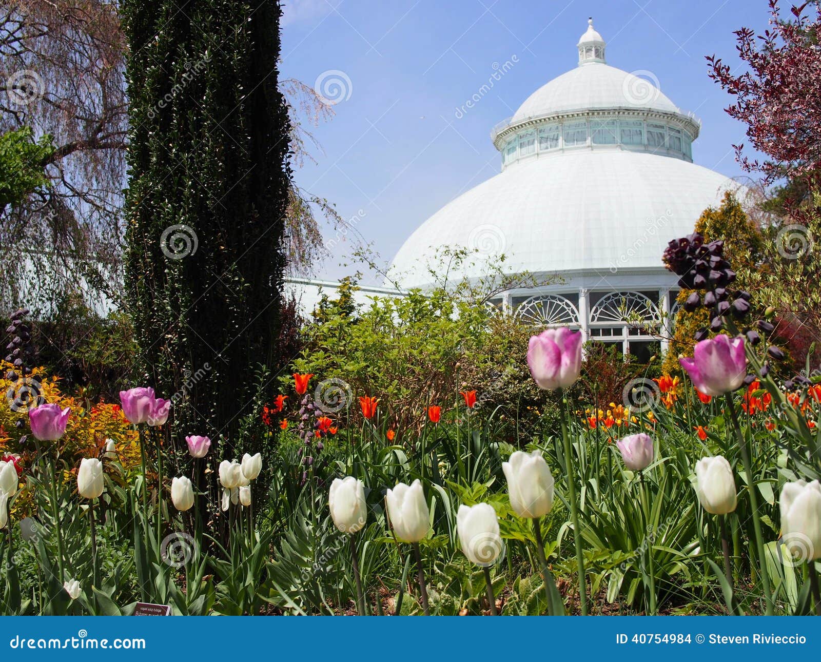 NY Botanical Gardens editorial stock image. Image of beautiful 40754984