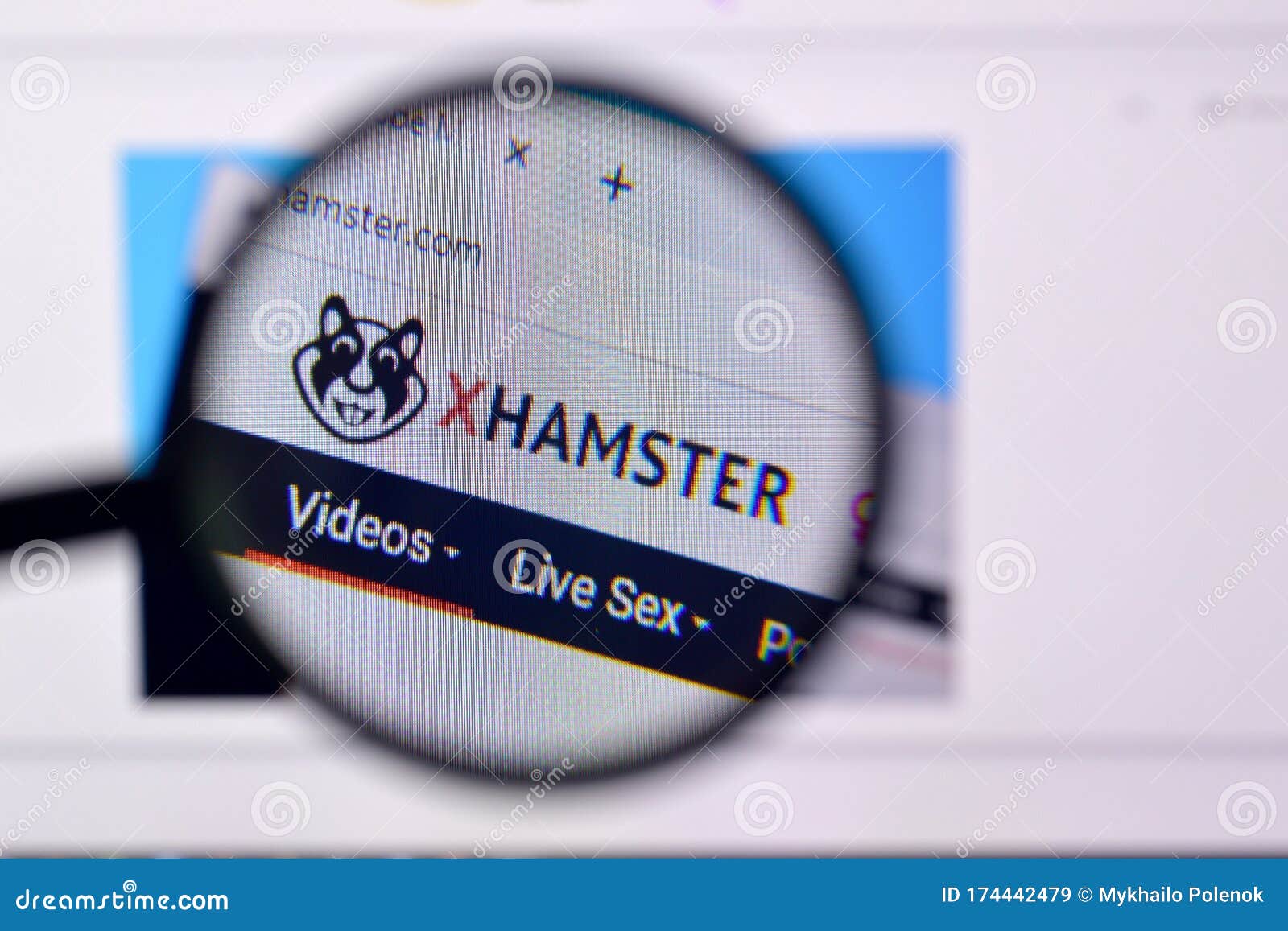 Website hamster sex 10 Popular