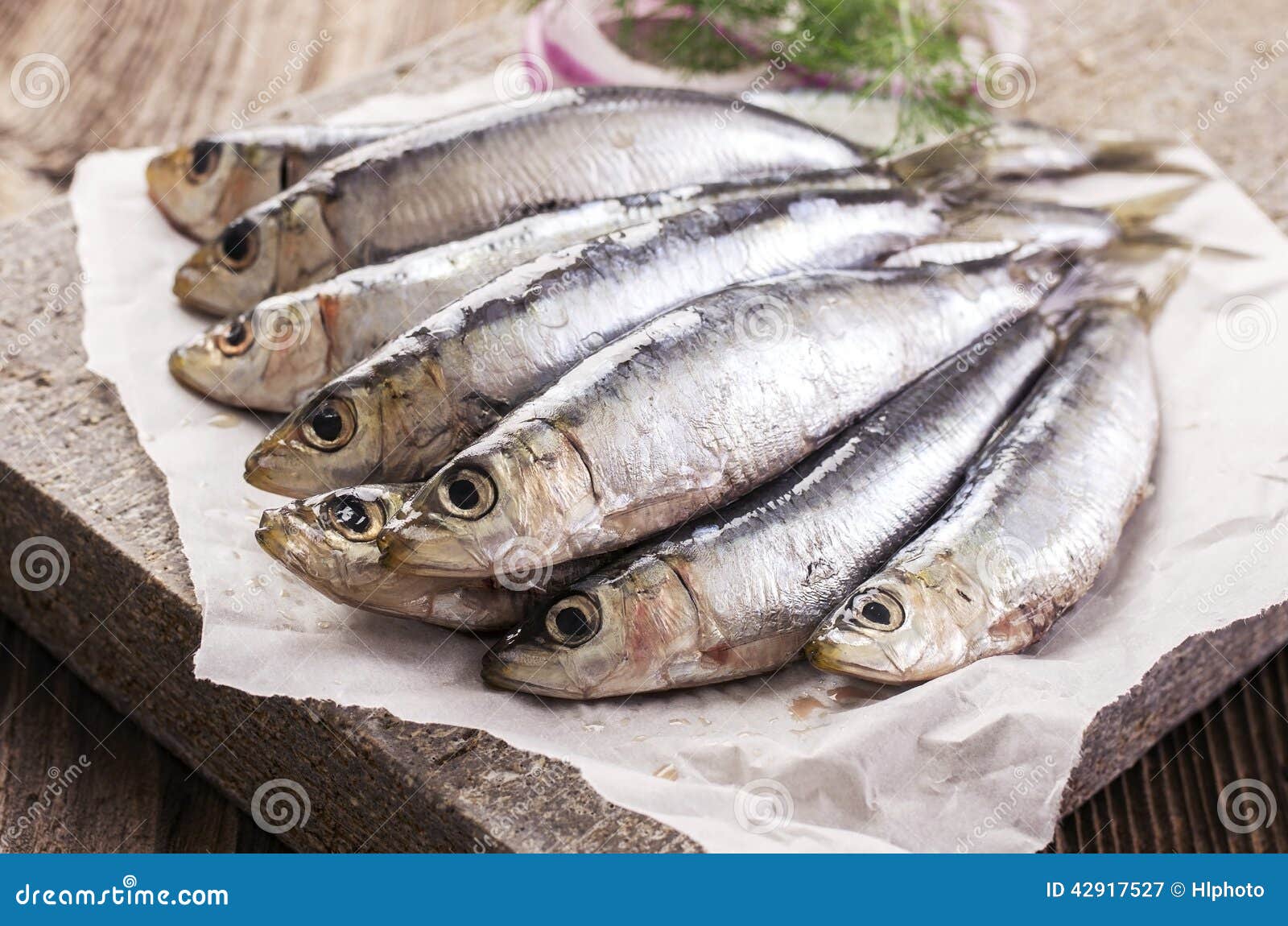 Nya Anchovis fotografering för bildbyråer. Bild av ...