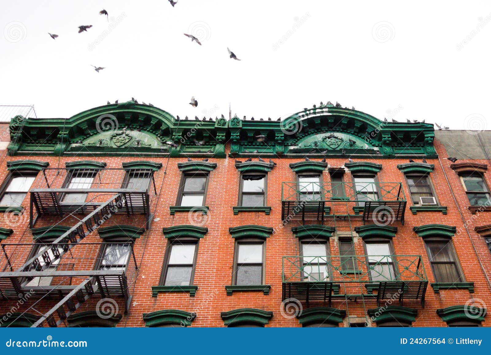 nyc apartment building