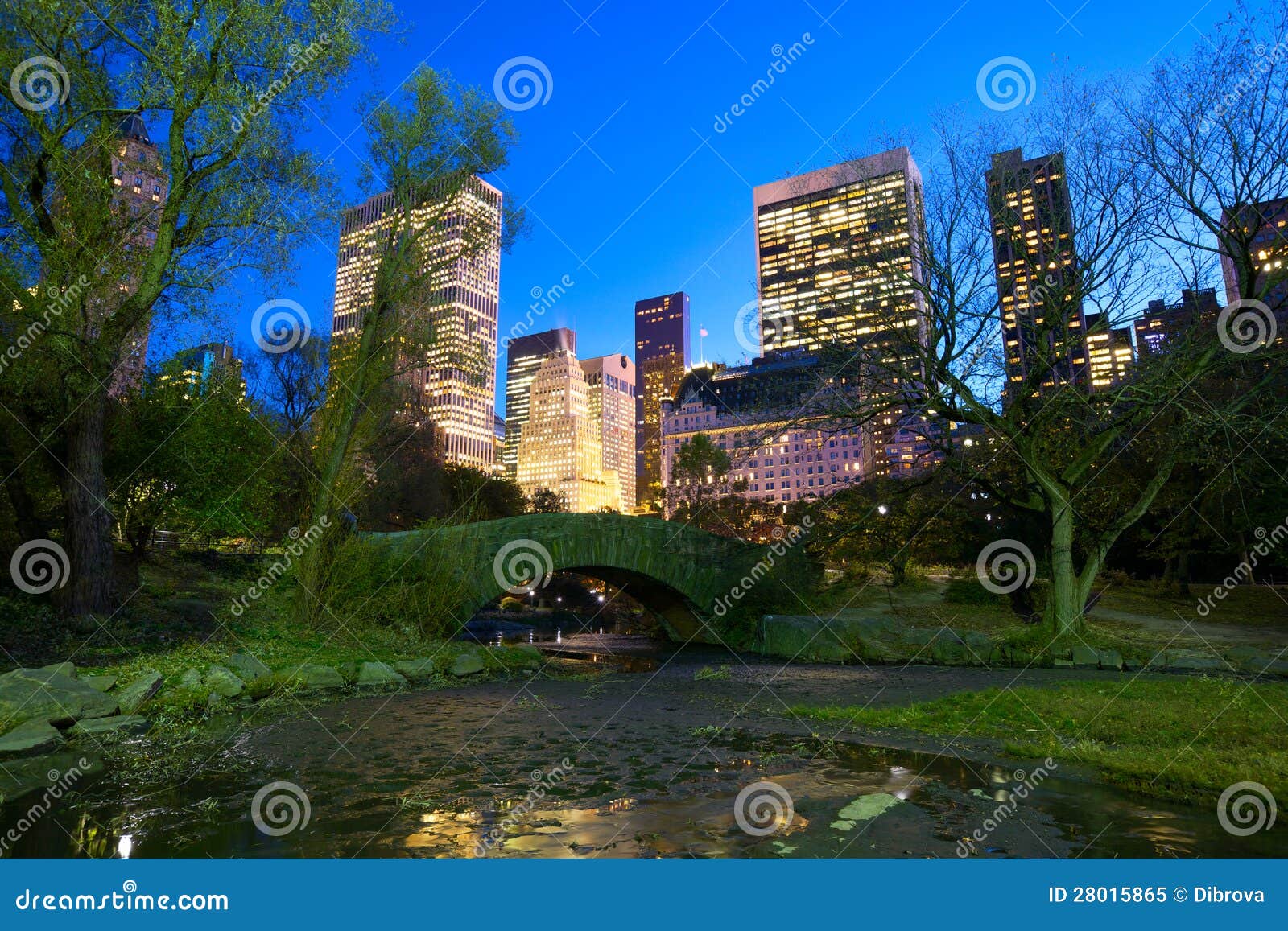 NYC Central Park at night stock image. Image of central - 28015865
