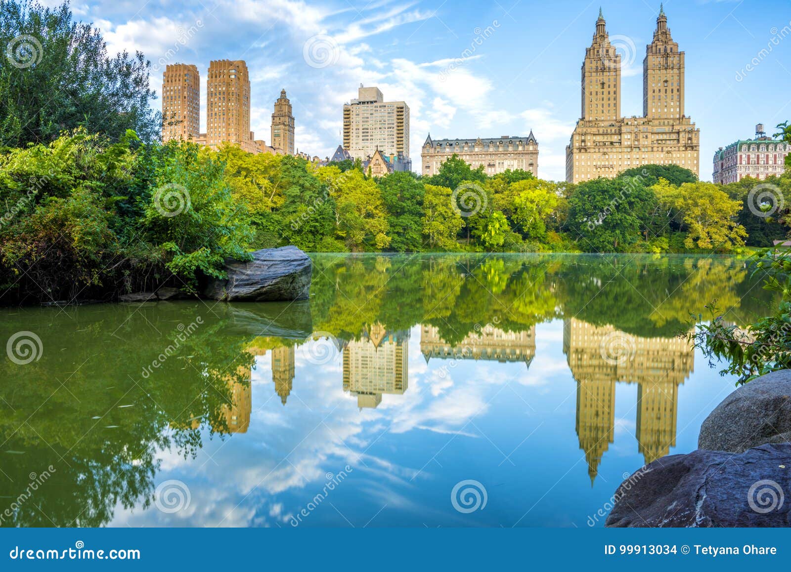 NYC Skyline in Central Park Editorial Stock Image - Image of outdoor ...