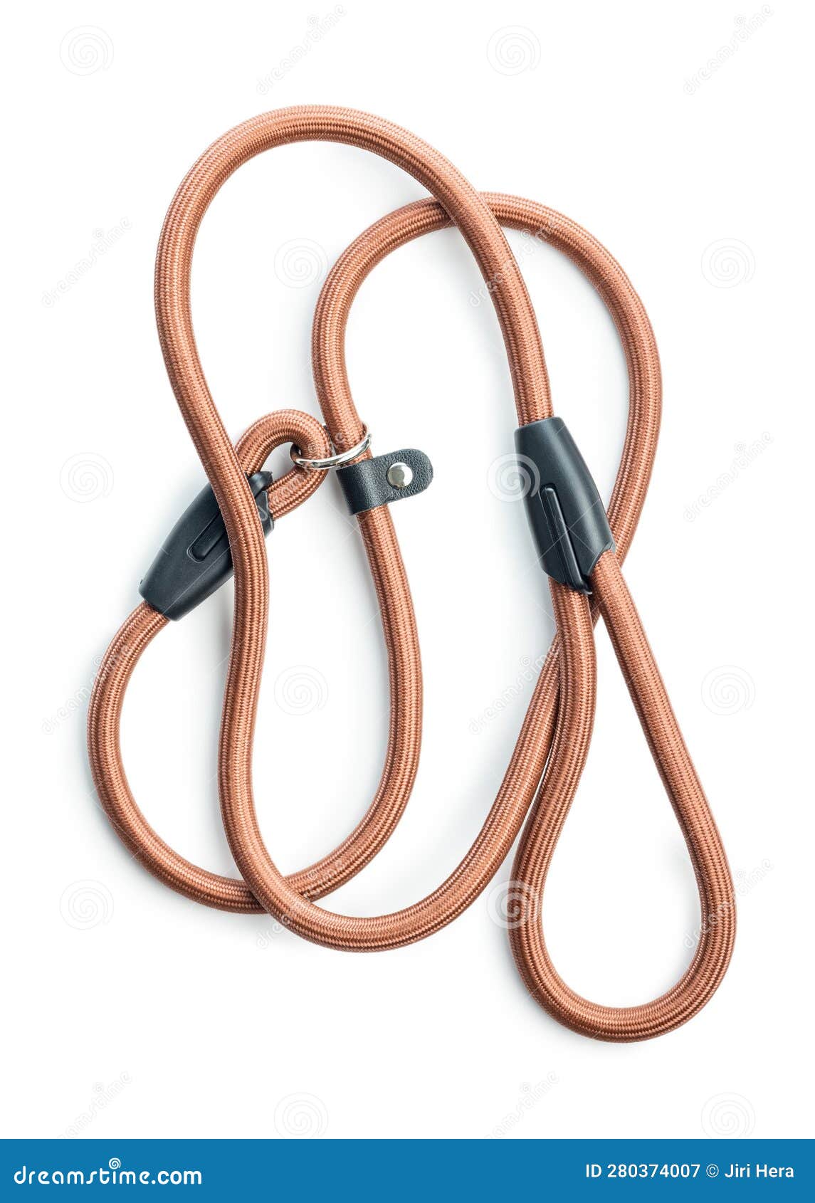 Nylon Pet Leash Isolated on White Background Stock Image Image of