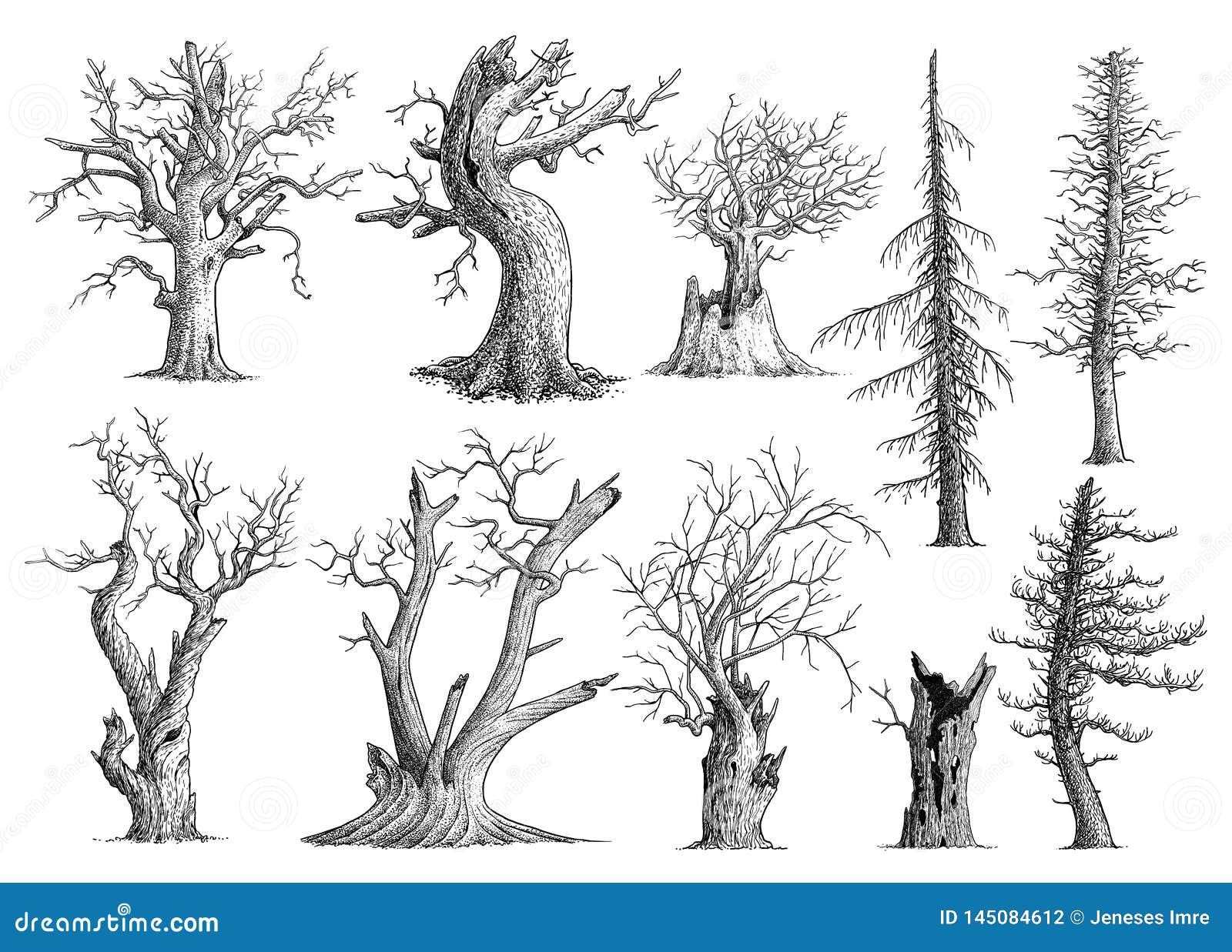 Dead Tree Collection Illustration, Drawing, Engraving, Ink, Line Art