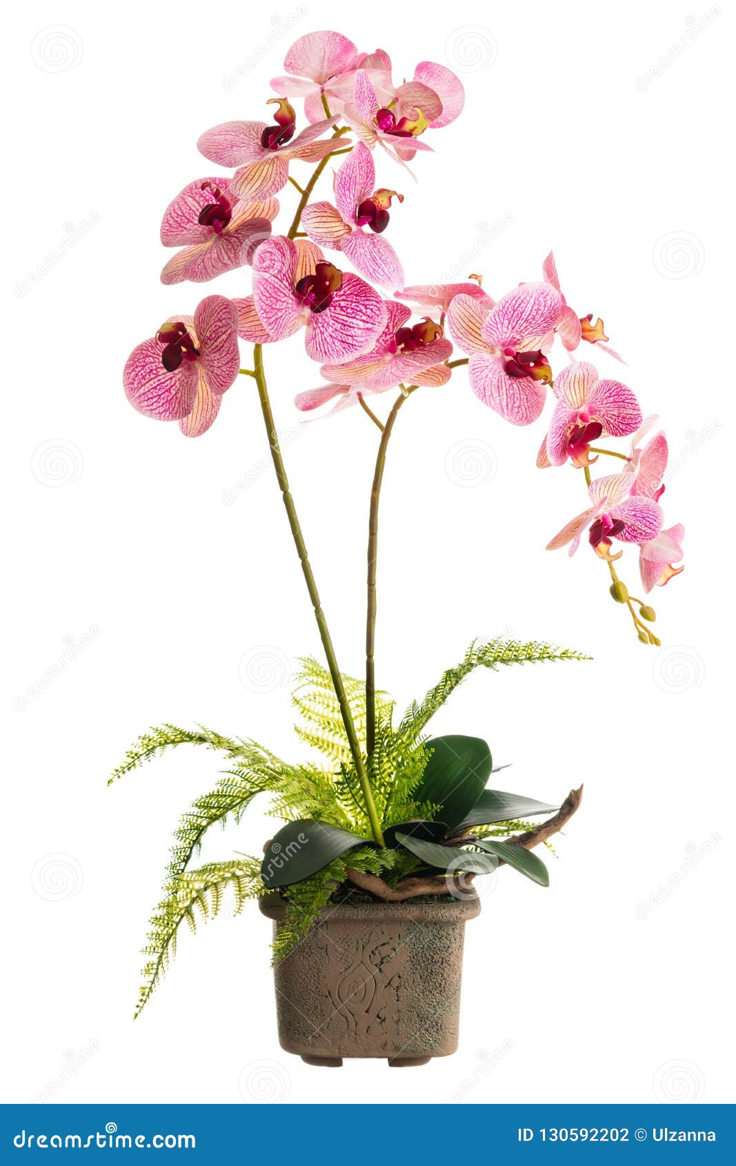 O Arranjo Floral Da Orquídea Artificial Floresce Em Cerâmico Velho Foto de  Stock - Imagem de presente, flora: 130592202