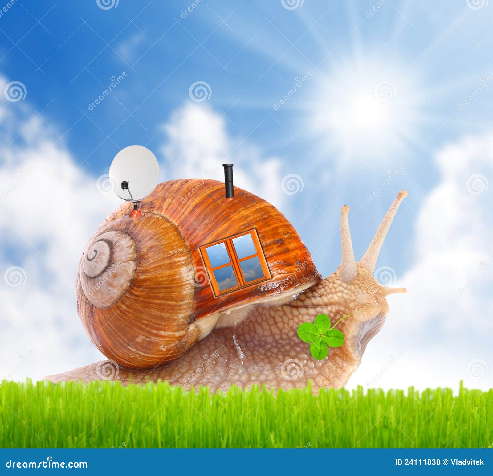 O Caracol Com Sua HOME De Mobil Na Estrada. Foto de Stock Imagem de
