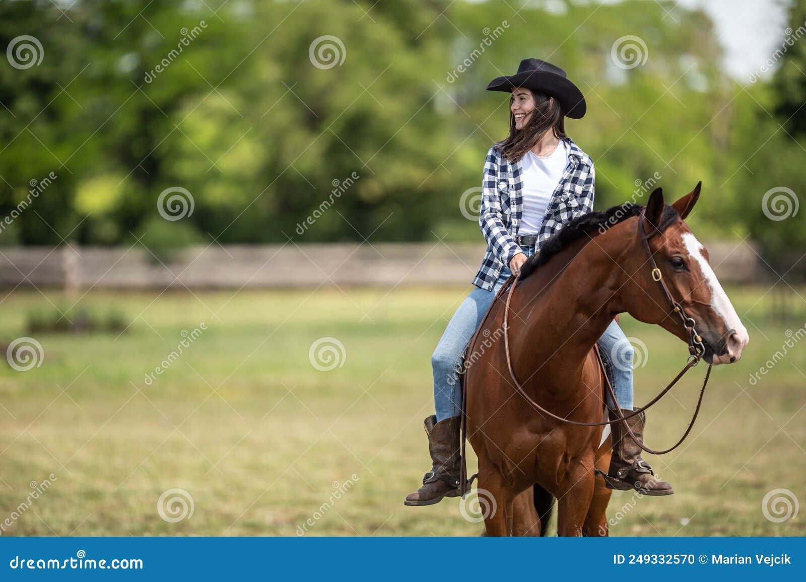 Garota No Capacete Sentada No Cavalo Cinza Atrás E Pulando Sobre