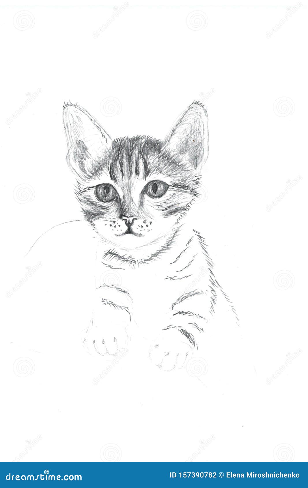 meus desenhos do meu caderno antigo part 1 #desenhos#gatos#fy#antigo#c