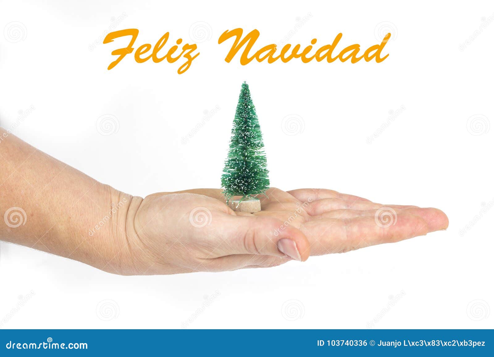 O Detalhe De Uma Mão Do ` S Da Mulher Que Guarda Pouca árvore De Natal Com  Texto No ` Espanhol De Feliz Navidad Do ` No Branco is Foto de Stock 