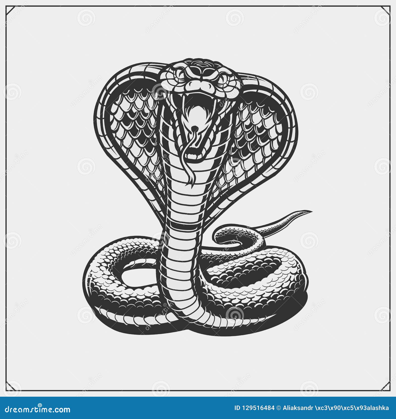 Cobra Ilustrações, Vetores E Clipart De Stock – (19,024 Stock