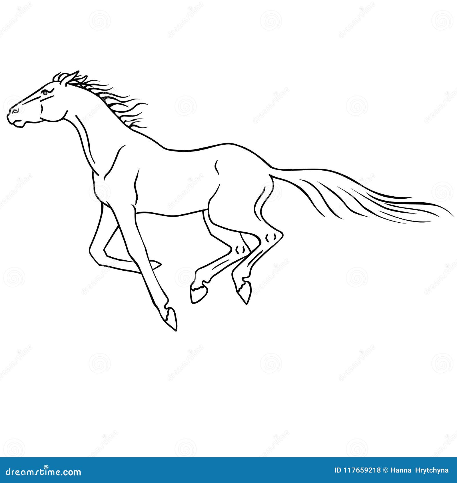 Como DESENHAR um CAVALO - Como DIBUJAR un CABALLO - How to DRAW a HORSE 