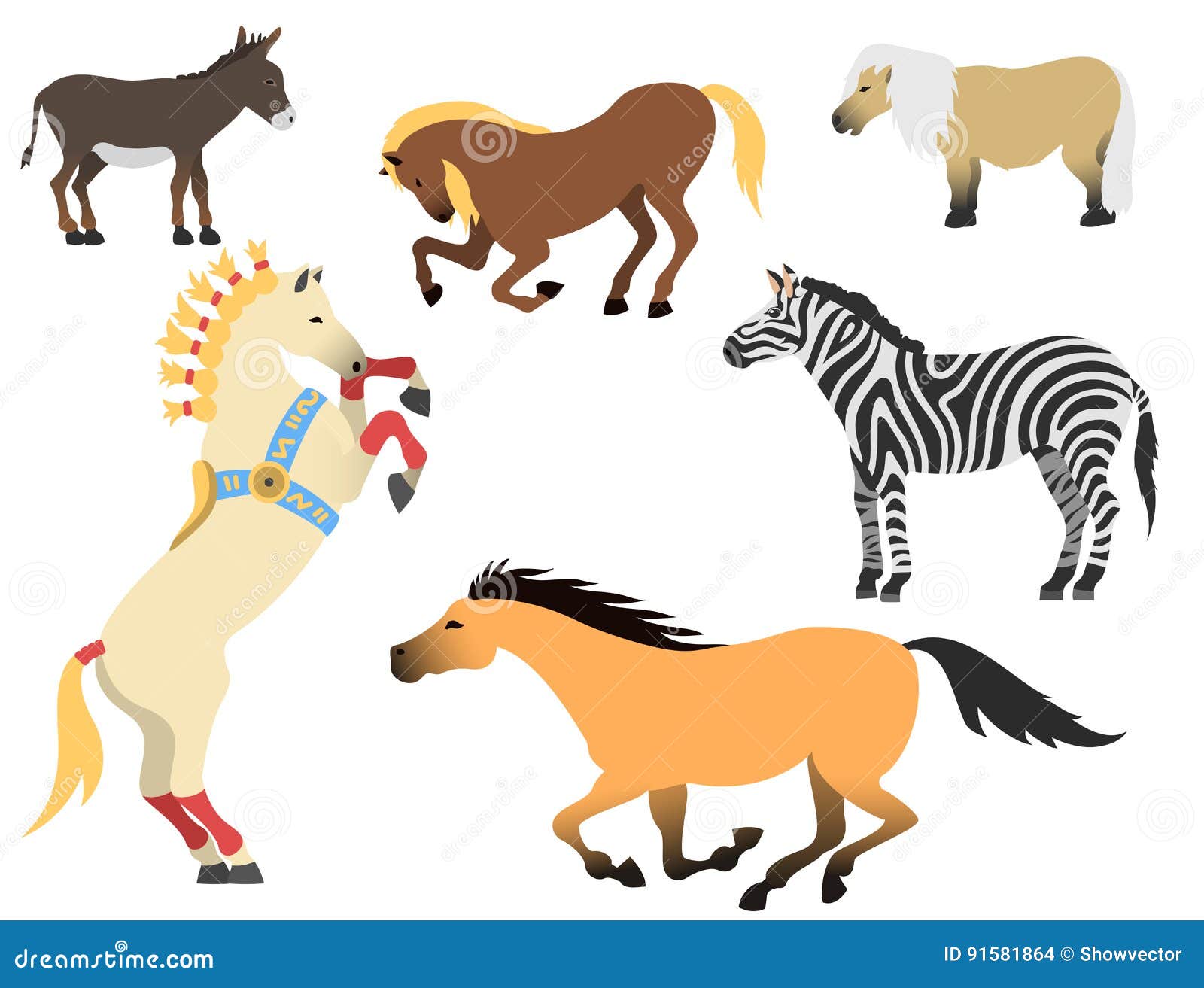 Qual a cor do seu cavalo? - Equestre Online