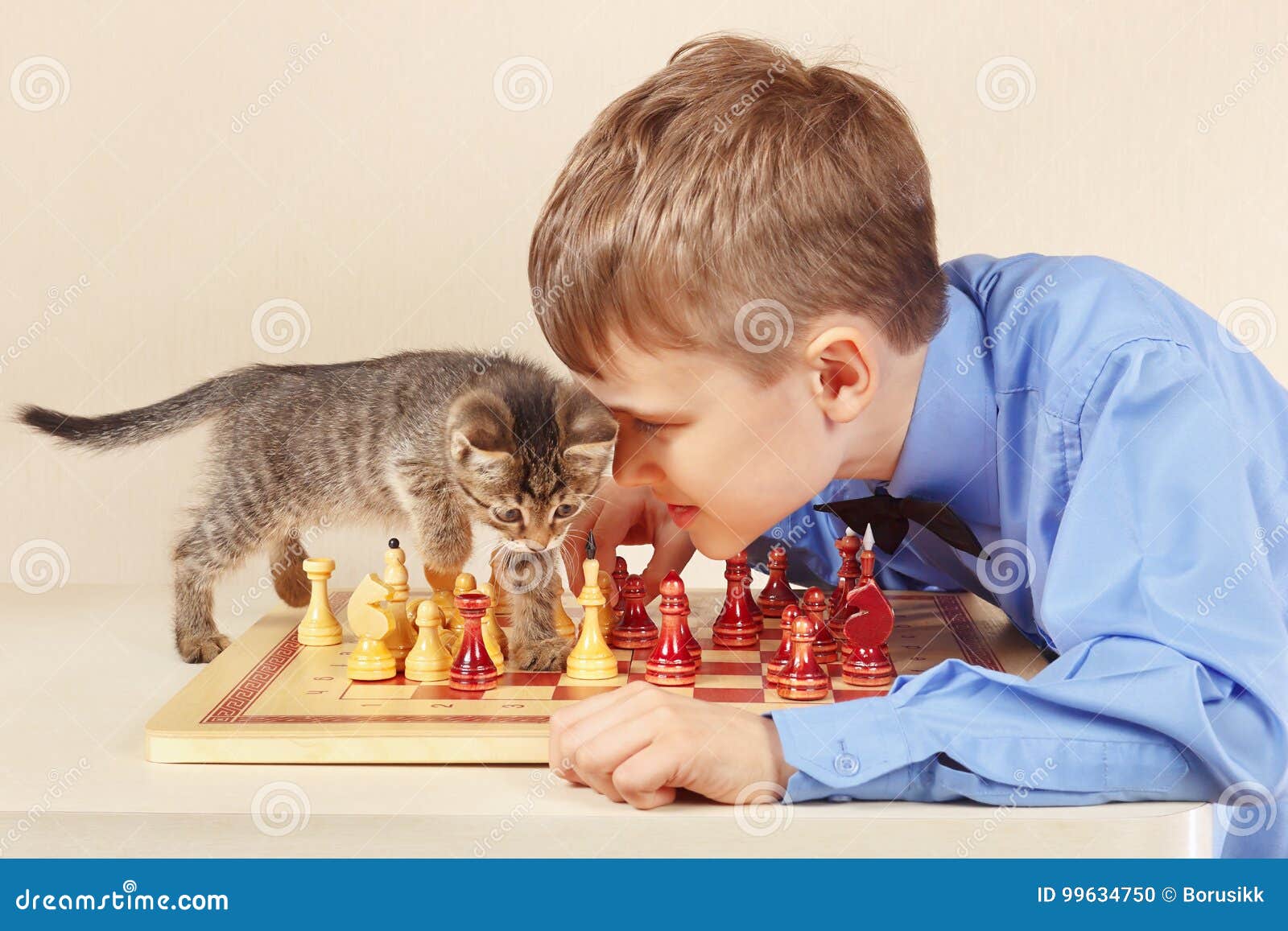 O Grandmaster Do Novato Com Gatinho Do Gato Malhado Joga a Xadrez Foto de  Stock - Imagem de desafio, garra: 99634750