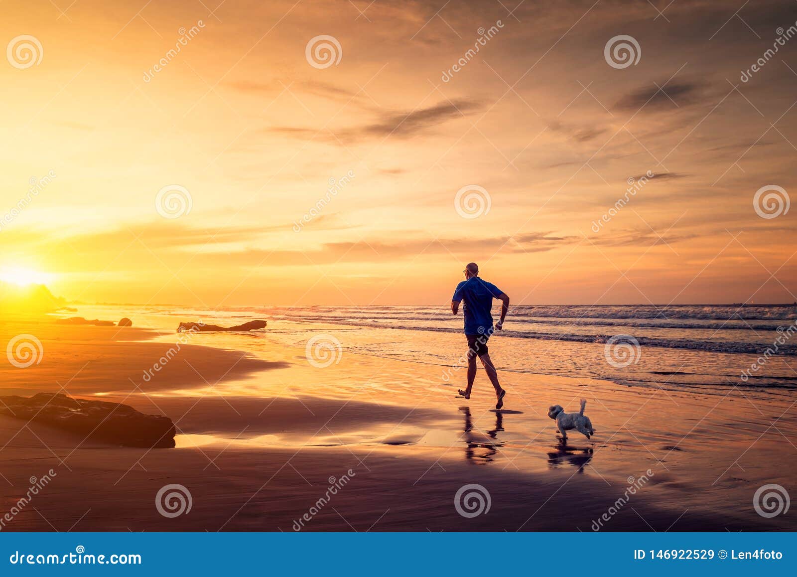 O homem e o cão pequeno estão correndo na praia no tempo do por do sol. O homem adulto e o cão maltês pequeno estão correndo na praia no tempo do por do sol