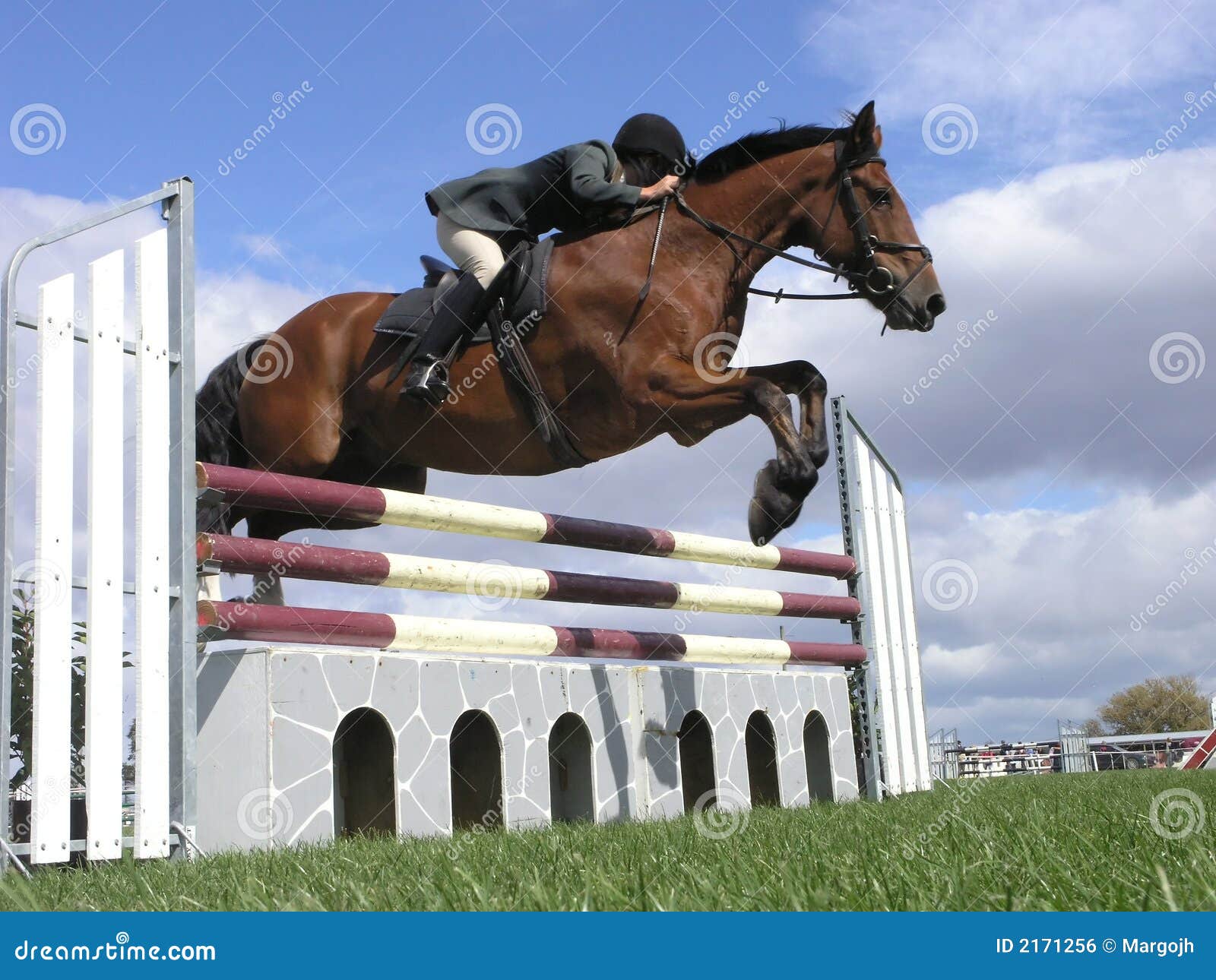 Foto De Stock Cavalo Pulando Cruz País Cerca