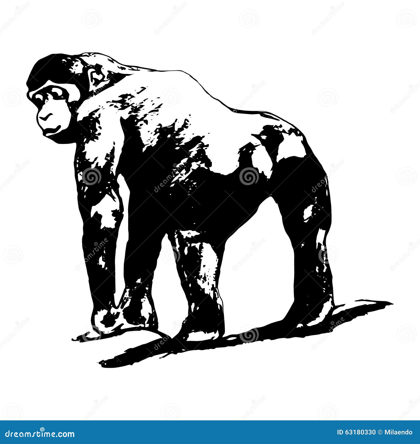 Gráficos de ilustração de macaco Macaco desenho, macaco, mamífero