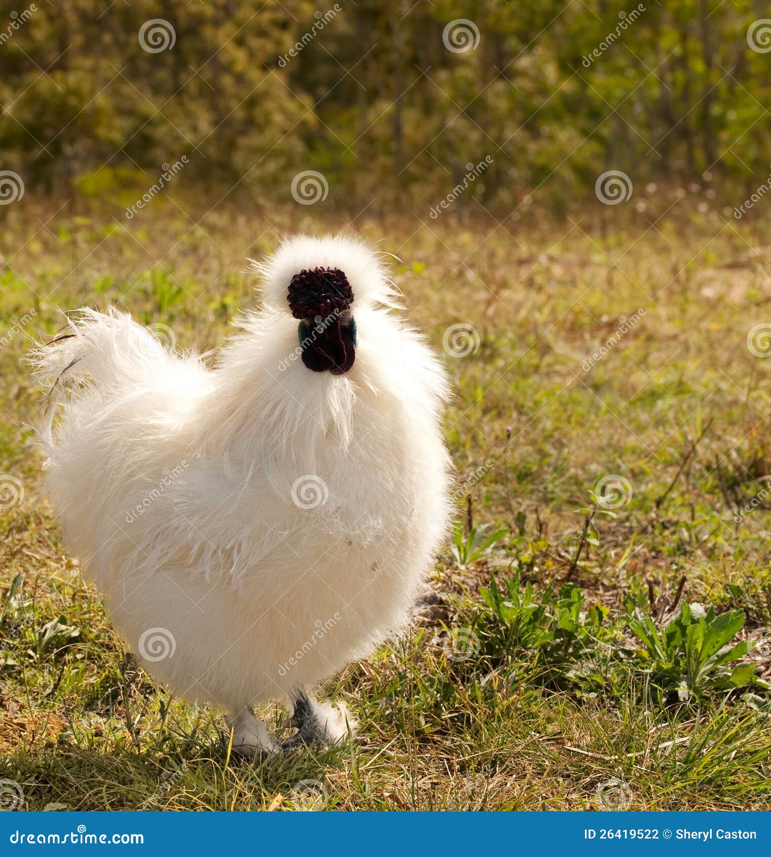 GaLiCiCi INS Super Fogo Pequeno Coelho Branco Colorido Prata