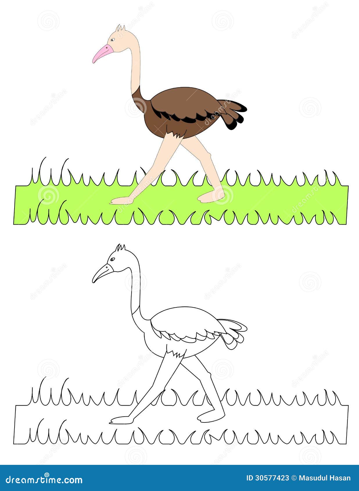 O For Ostrich Stock Vector Illustration Of Book Drawing