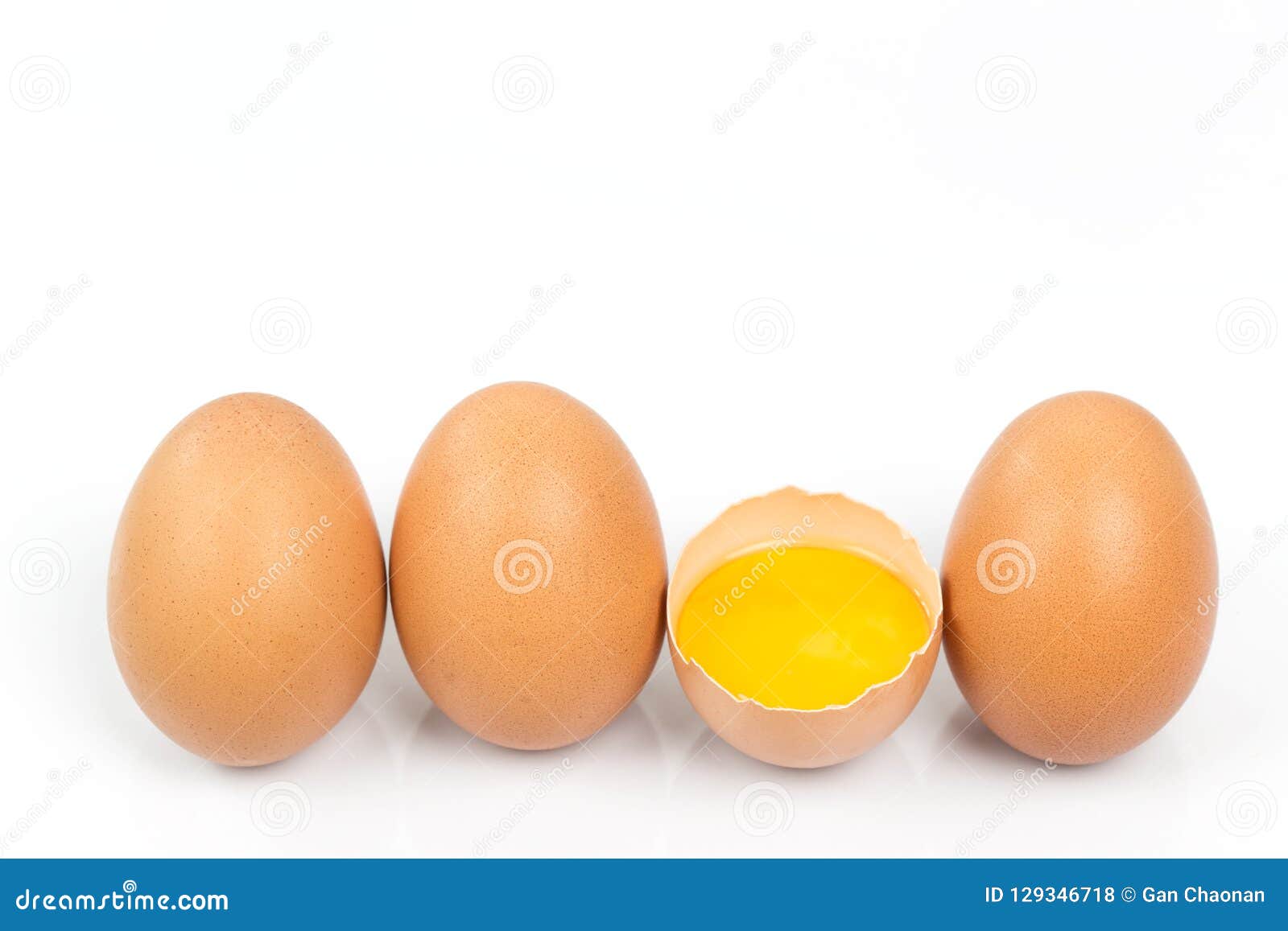 Quebra ovo da galinha, Imagem