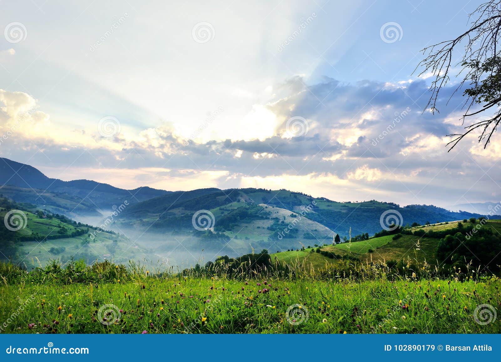 O prado alpino bonito com grama verde NASCER DE O SOL paisagem em montes selvagens da Transilvânia Holbav romania Baixa chave, ba. Prado alpino bonito com grama verde NASCER DE O SOL paisagem em montes selvagens da Transilvânia Holbav romania Baixa chave, fundo escuro, iluminação do ponto