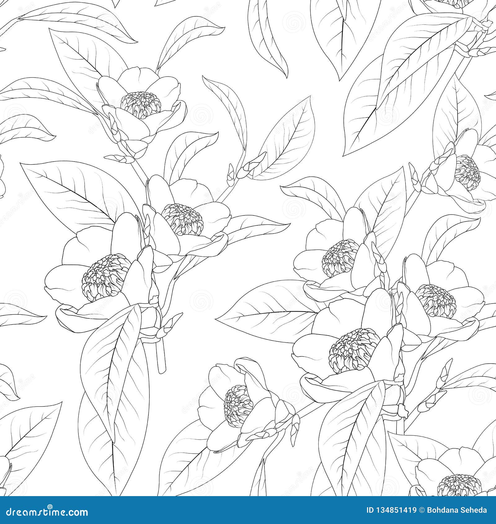 O Ramalhete Das Flores Da Camélia Com Folhas Alinha O Desenho De Projeto  Textura Sem Emenda Natural Floral Do Teste Padrão Ilustração do Vetor -  Ilustração de folhagem, filial: 134851419