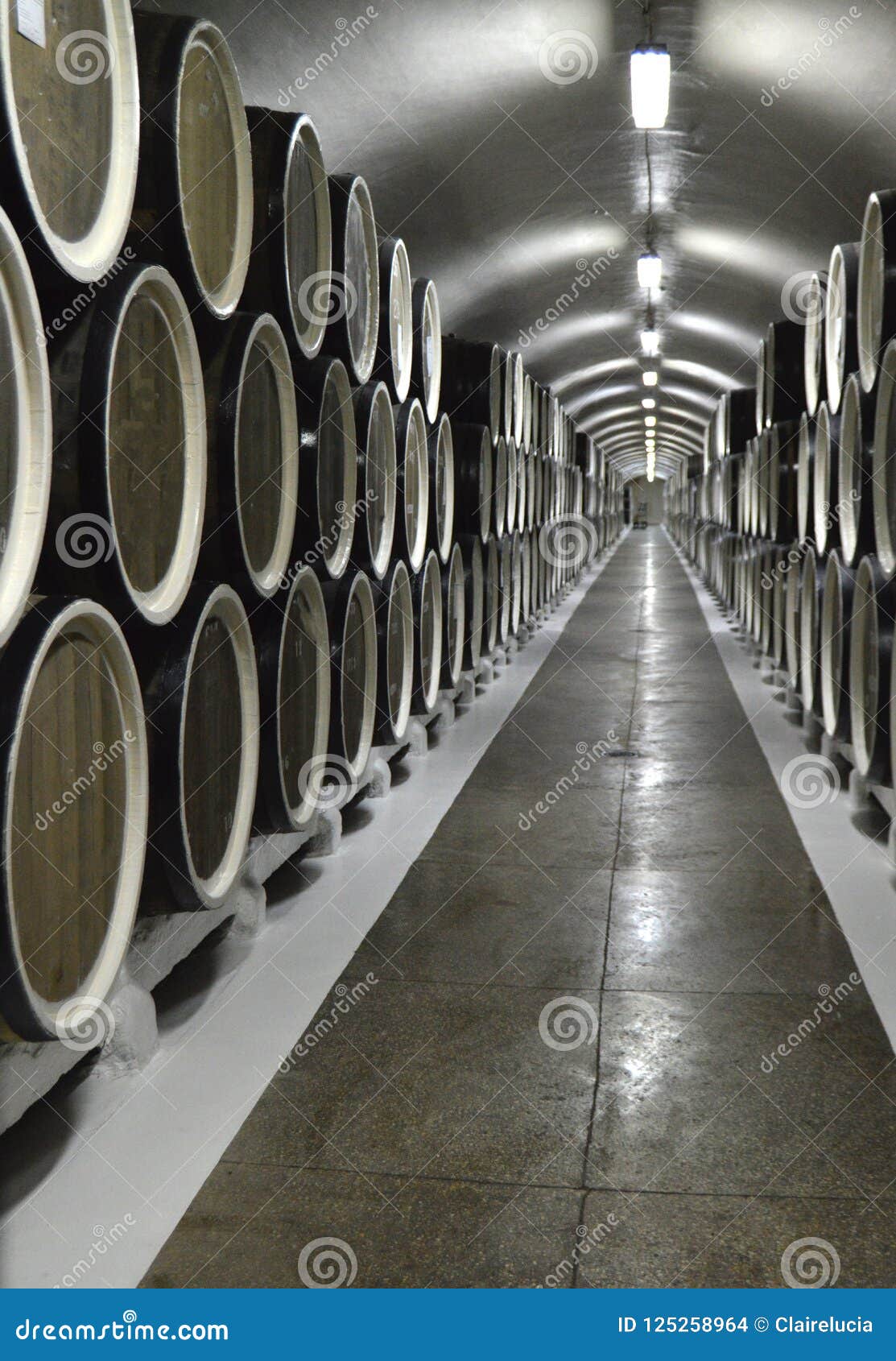 Oak Barrels Lie in Rows in the Wine Cellar, Storage and Aging of Wine Stock Photo Image of