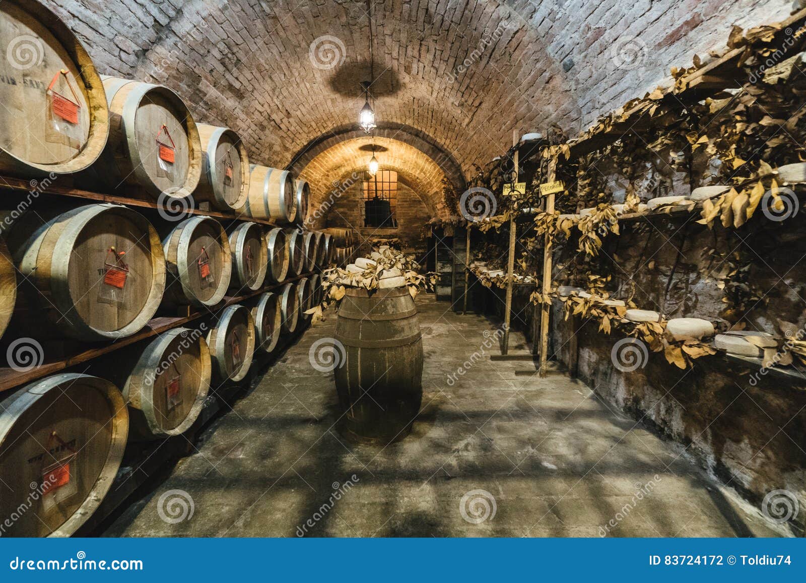 Oak Barrels in an Old Wine Cellar. Editorial Photography Image of