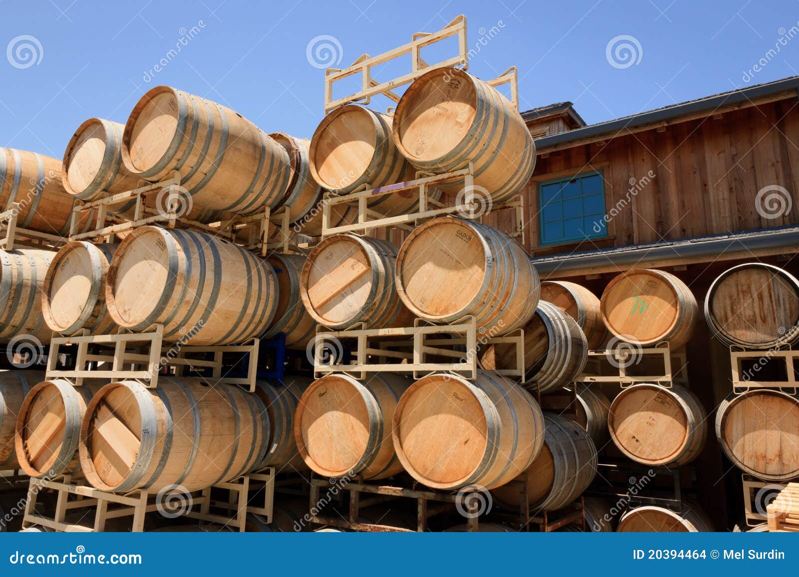 Oak Barrels, Roblar Winery and Vineyard Editorial Stock Image Image