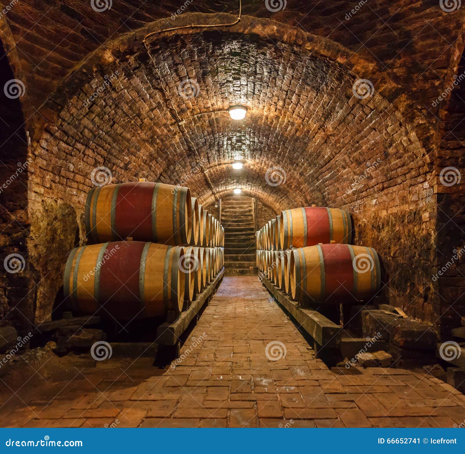 oak barrels in a underground wine cellar