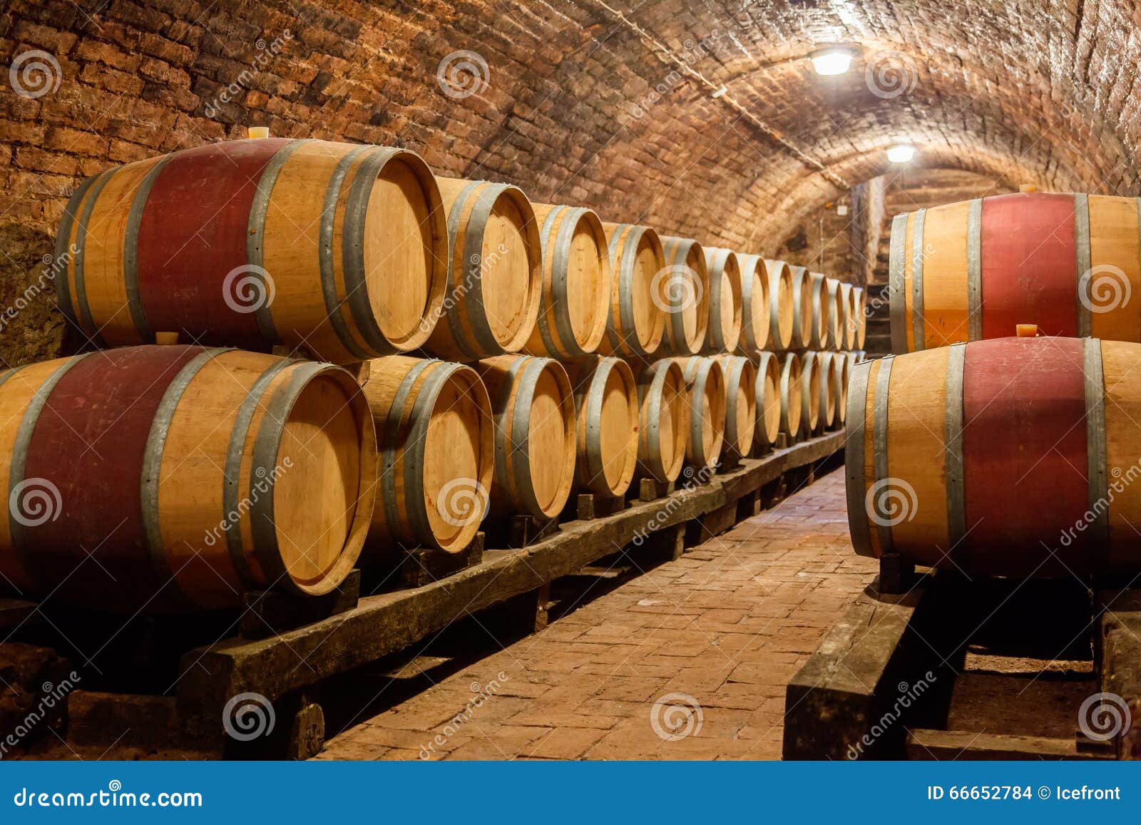 Oak Barrels in a Underground Wine Cellar Stock Photo Image of selection, barrels 66652784
