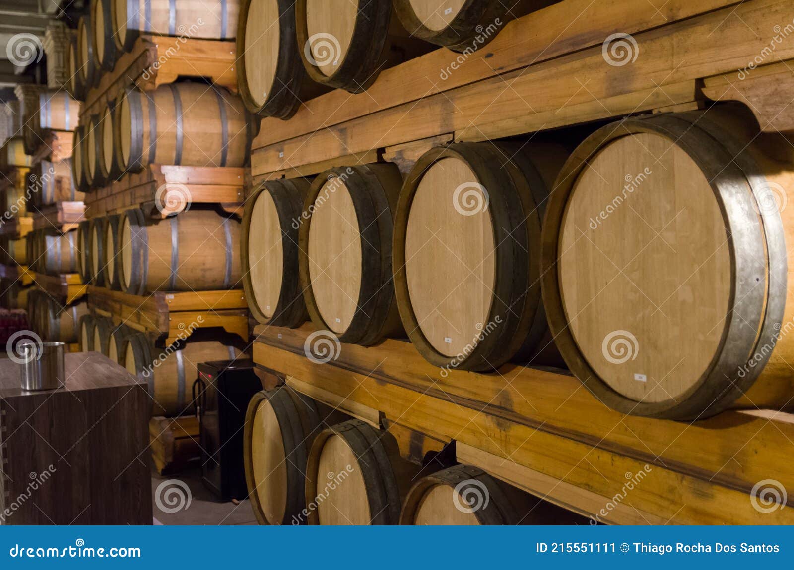 Oak Barrels for Wine Aging in an Underground Cellar in Vale Dos