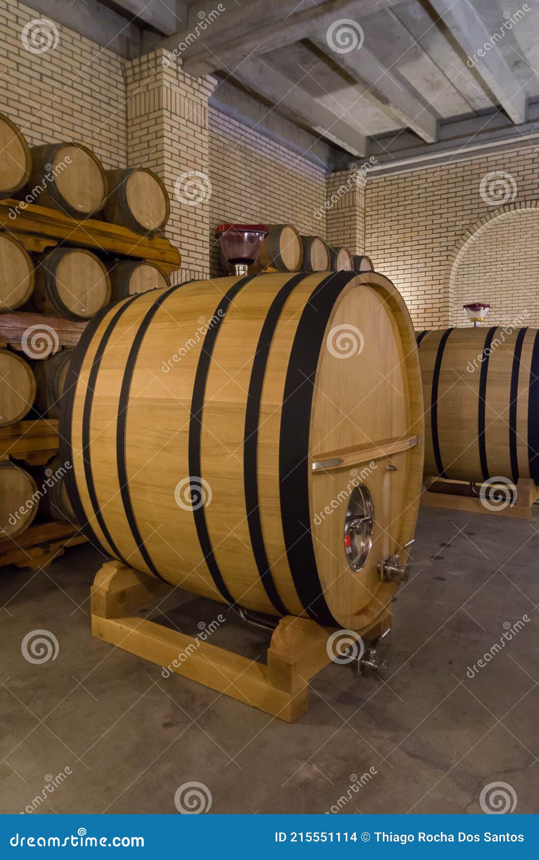 Oak Barrels for Wine Aging in an Underground Cellar in Vale Dos Stock