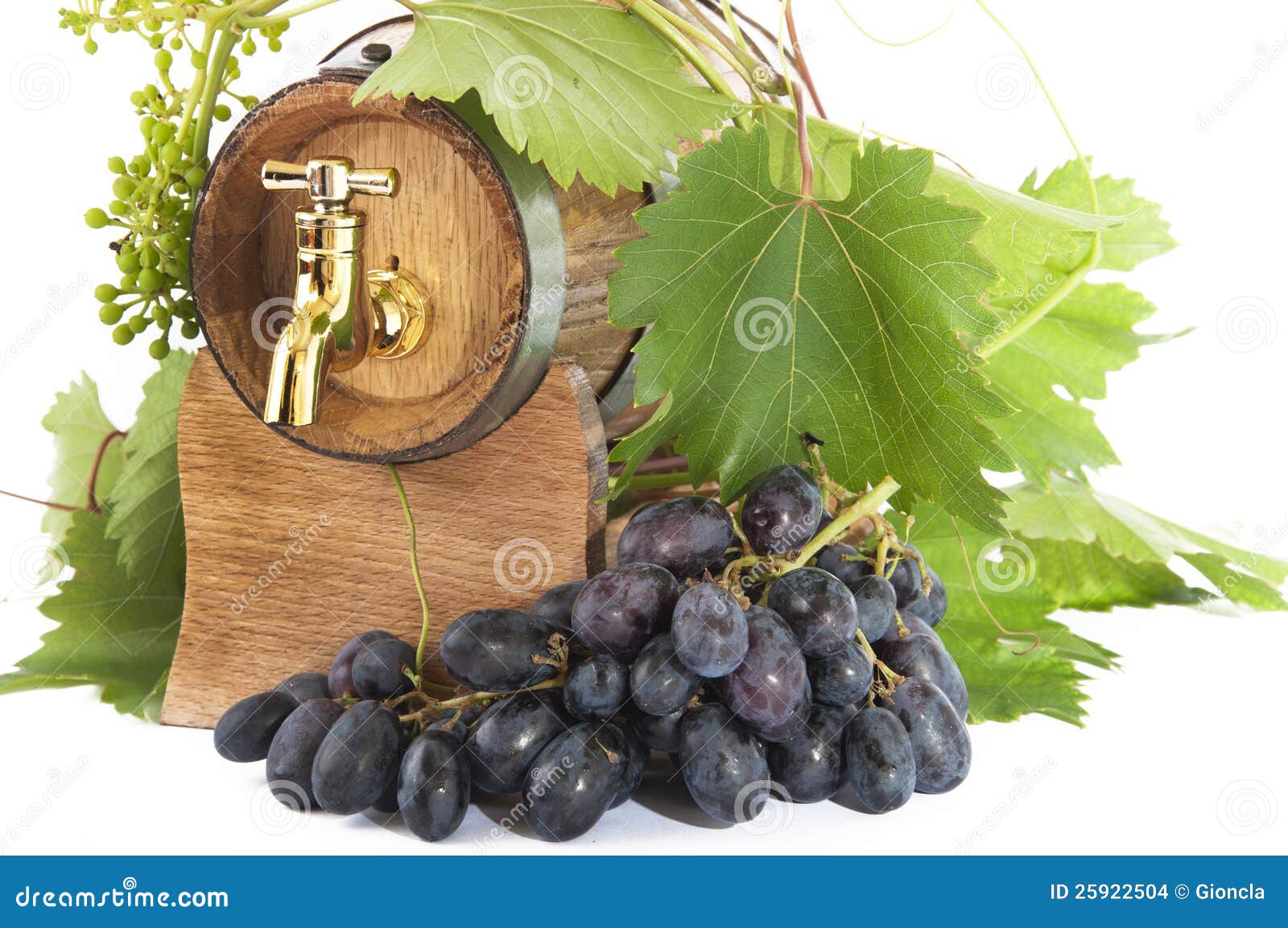in oak casks with vines and grapes white and black