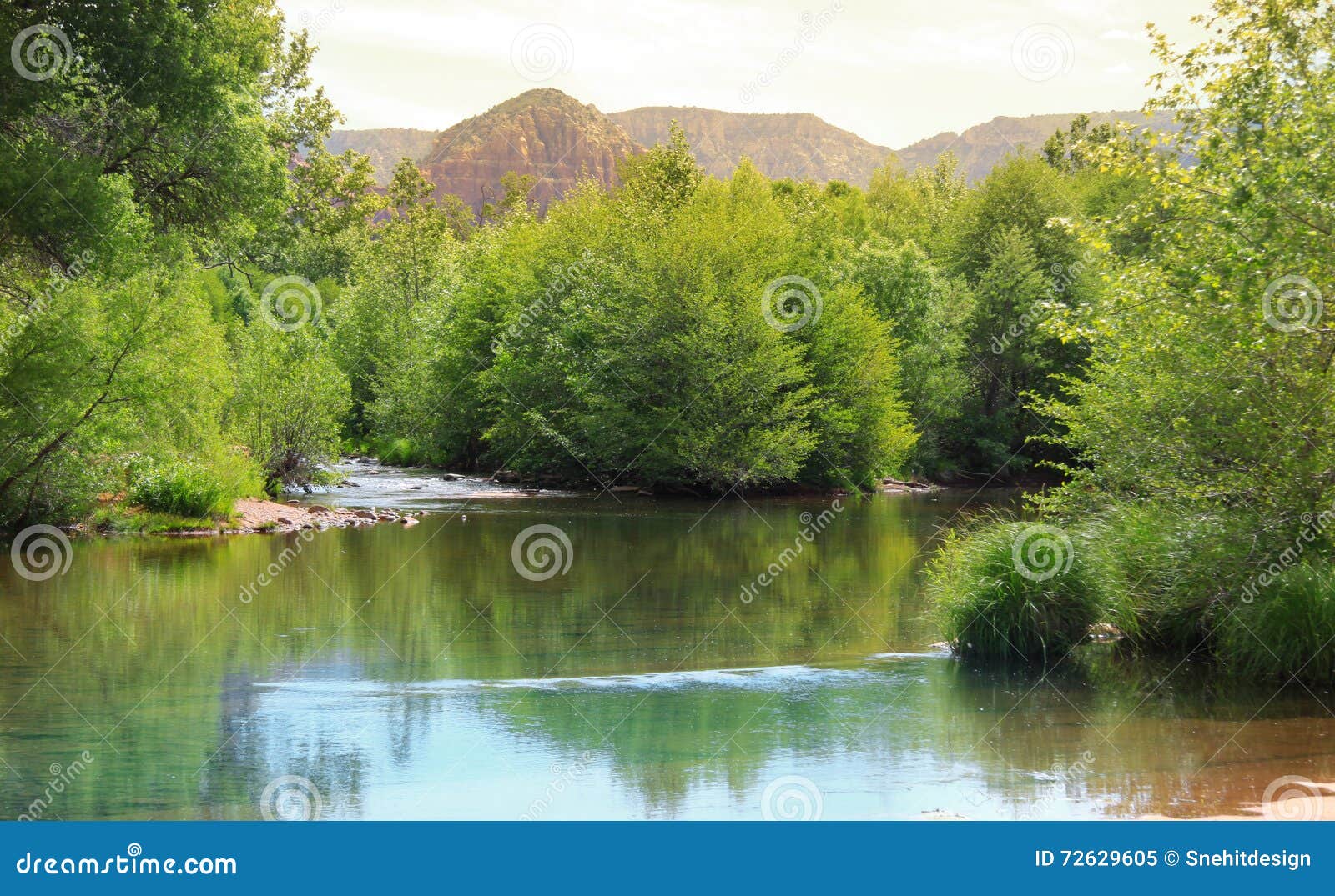 Oak creek near Sedona stock image. Image of river, forest - 72629605