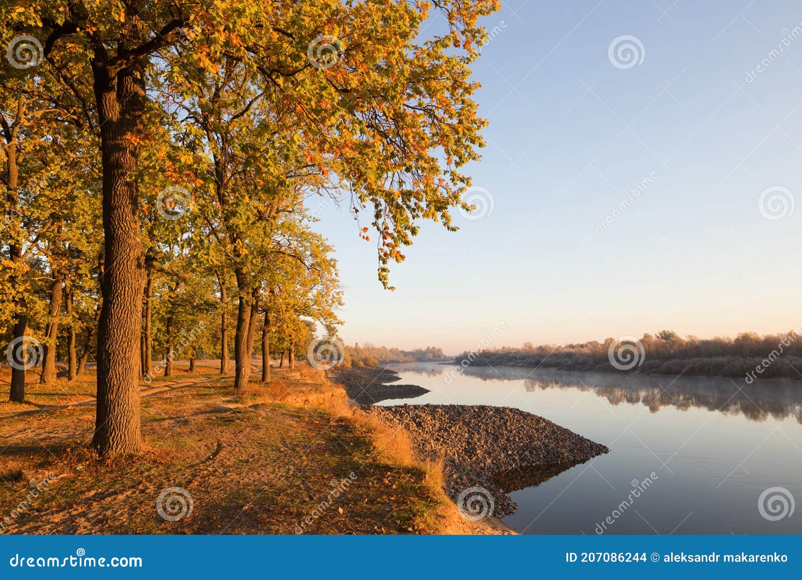 Oak Grove on the Banks of the River. Fall Stock Photo Image of