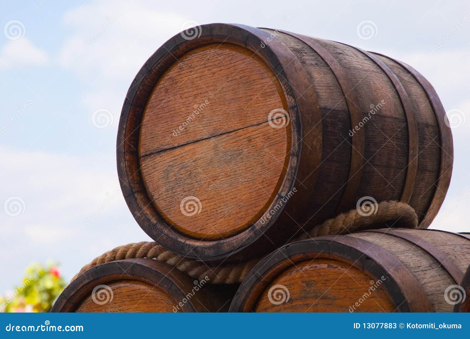 Oak kegs with wine stock image. Image of alcoholic, wine 13077883