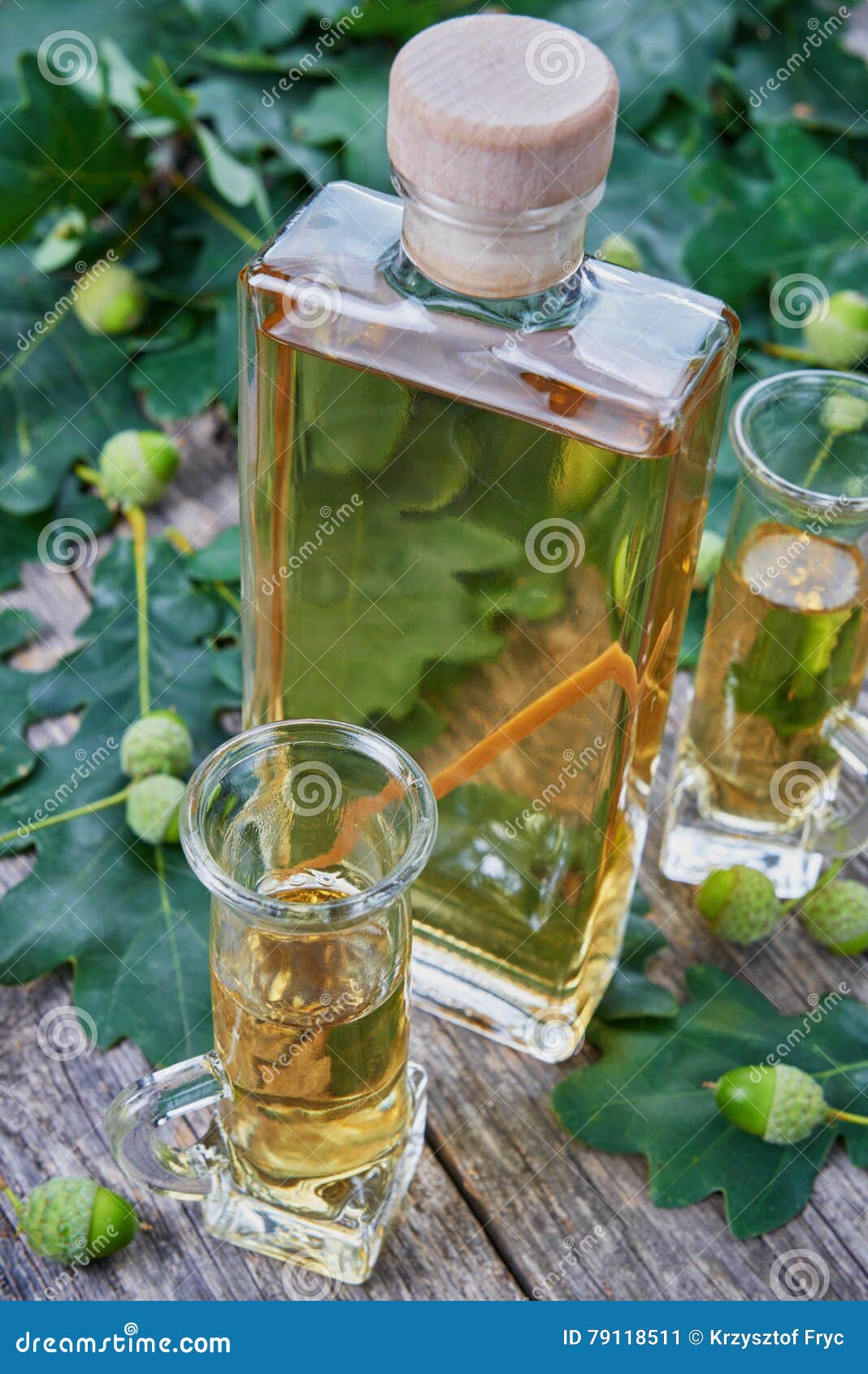 Oak tree alcohol stock image. Image of alcoholic, leaf 79118511