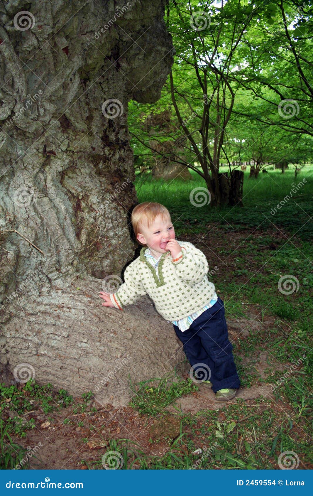 Image result for baby under an oak tree