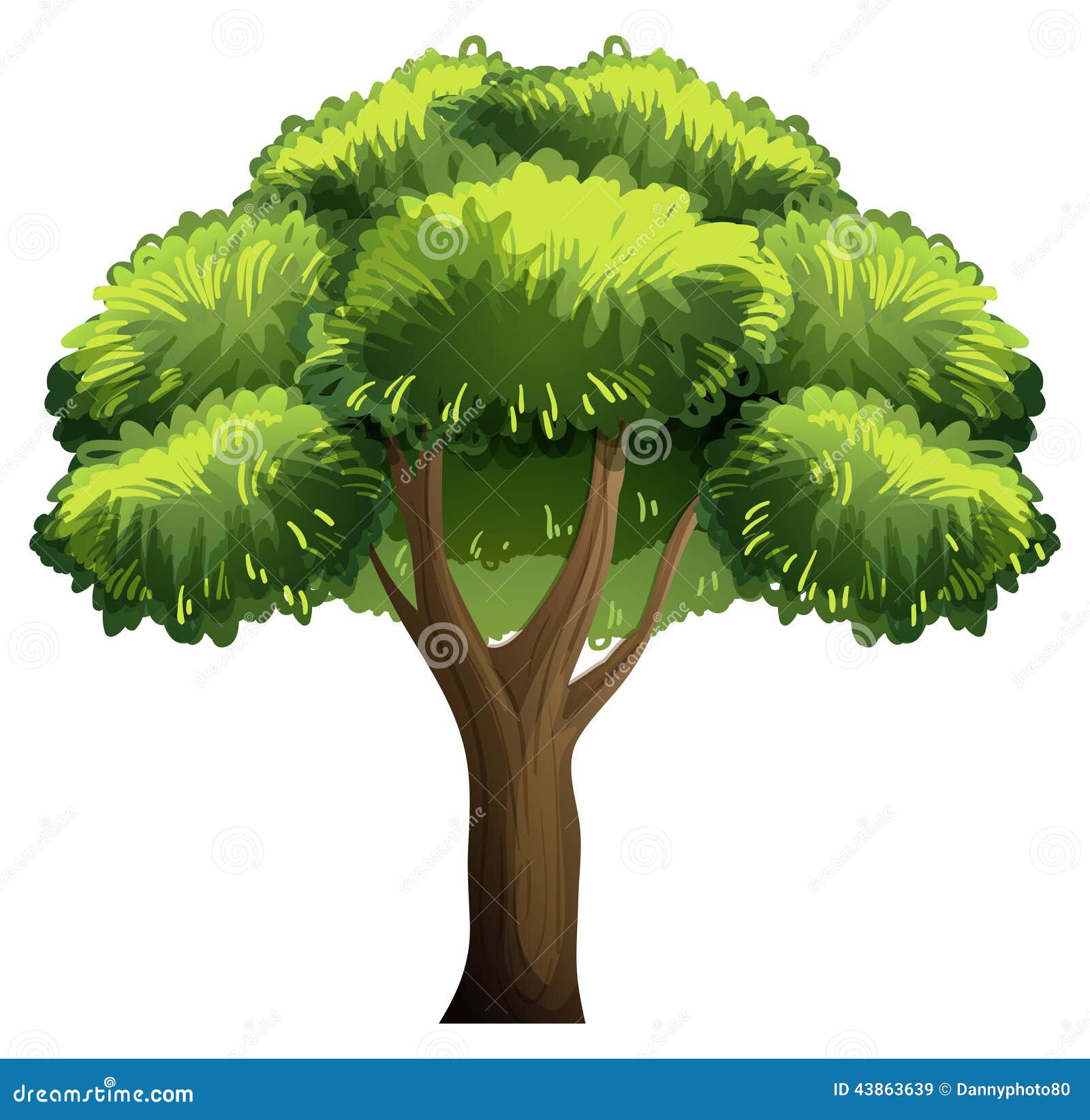 Oak tree stock vector. Illustration of white, leaves - 43863639