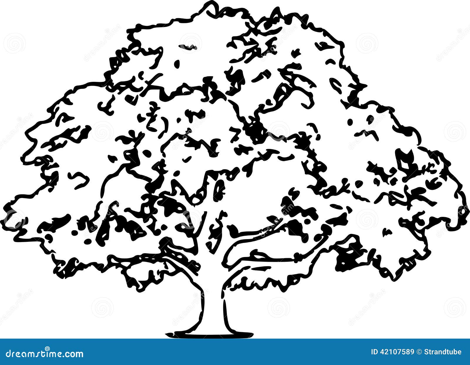 Oak Tree Sketch Illustration /eps Stock Vector - Illustration of