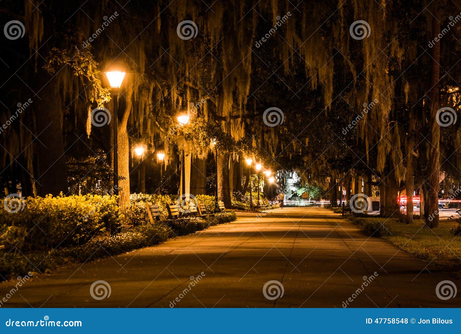 Oak Trees and Path at Night in Forsyth Park, Savannah, Stock