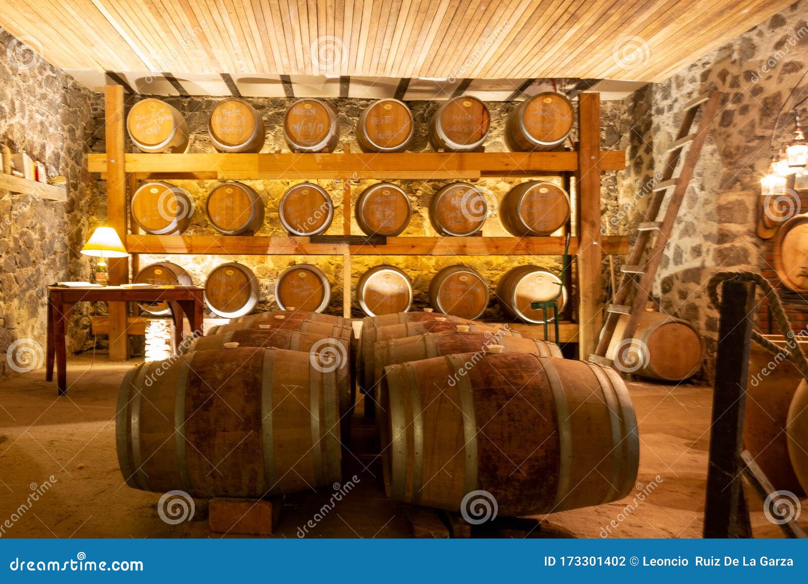Oak Wine Barrels in Basement of Winery Stock Photo Image of
