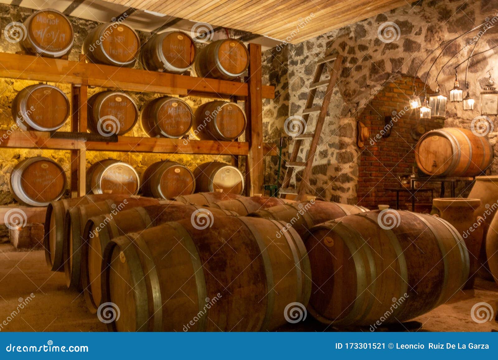 Oak Wine Barrels in Basement of Winery Stock Image Image of basement